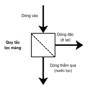 04 Loại Màng Lọc Ứng Dụng Trong Xử Lý Nước Cấp